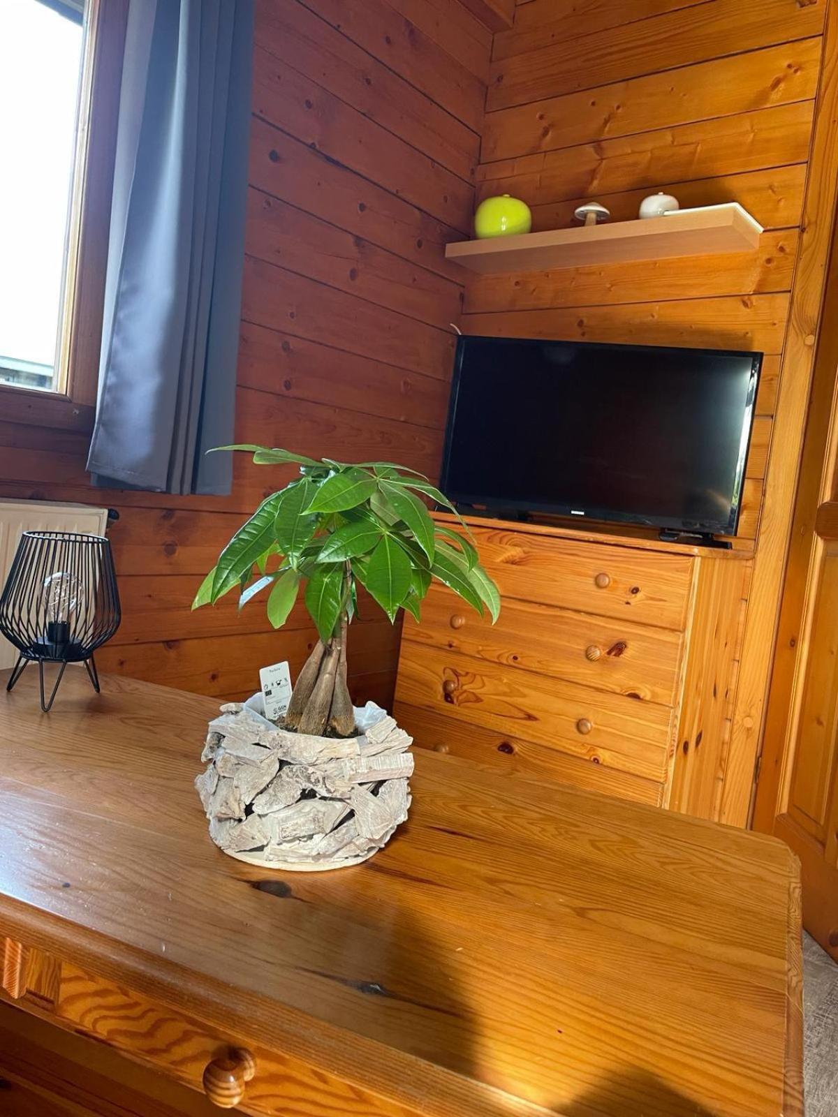 Chalet Ardennais Fromelennes ภายนอก รูปภาพ